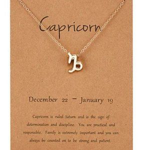 COPY - Dainty Zodiac Capricorn Pendant Necklace